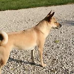 Apartamento Il Poggetto *
