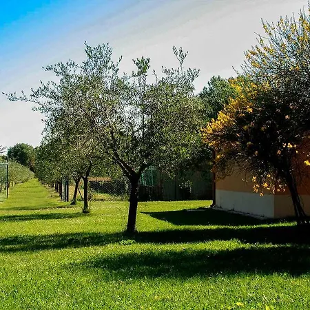 Il Poggetto * 考里纳多